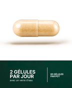 Ashwagandha KSM-66® - L-théanine