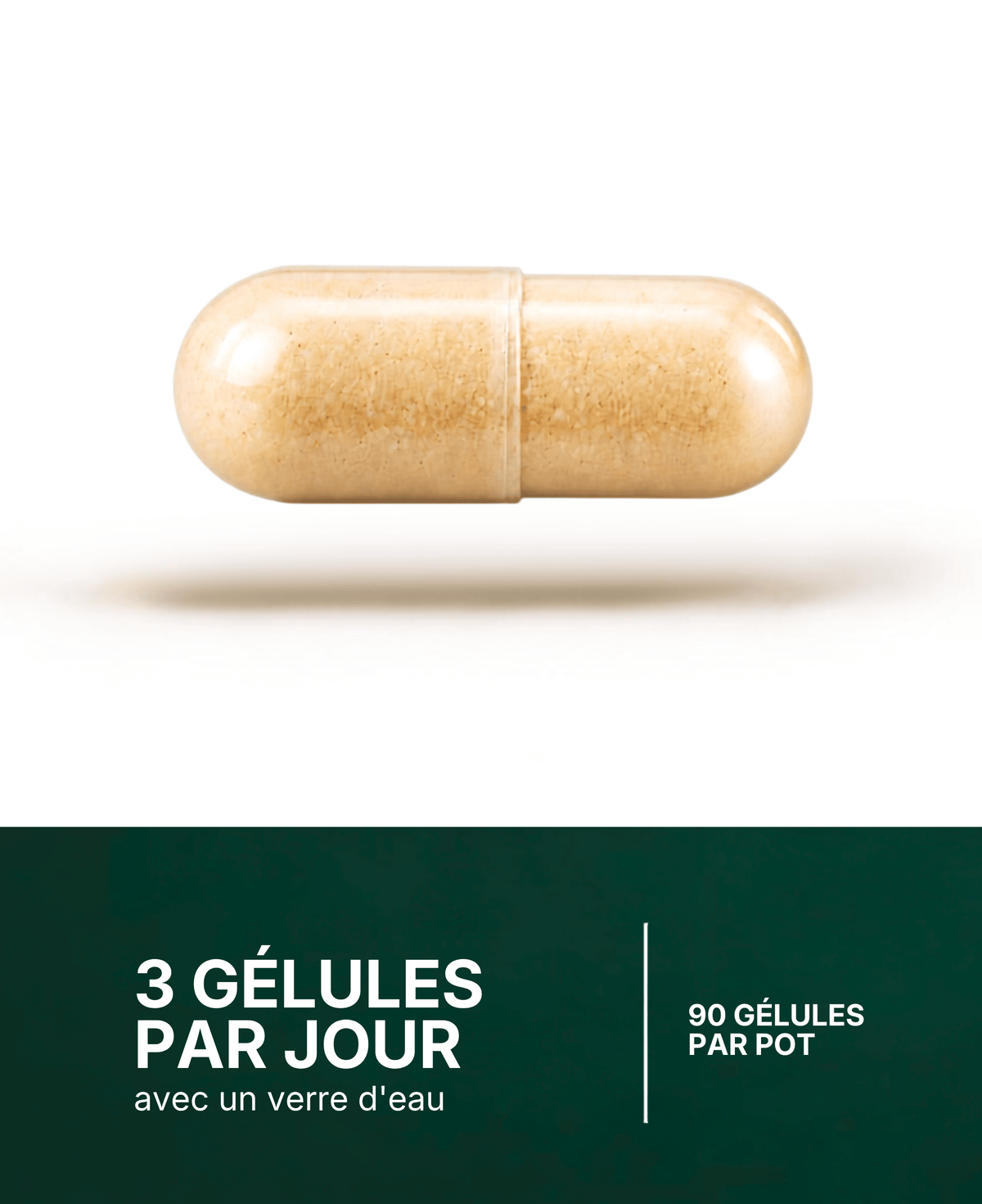 Multivitamines avec CQ10