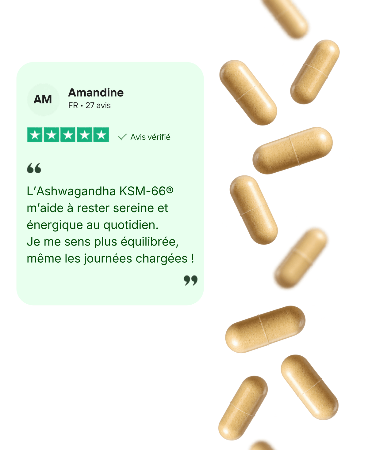 Ashwagandha KSM-66® - L-théanine