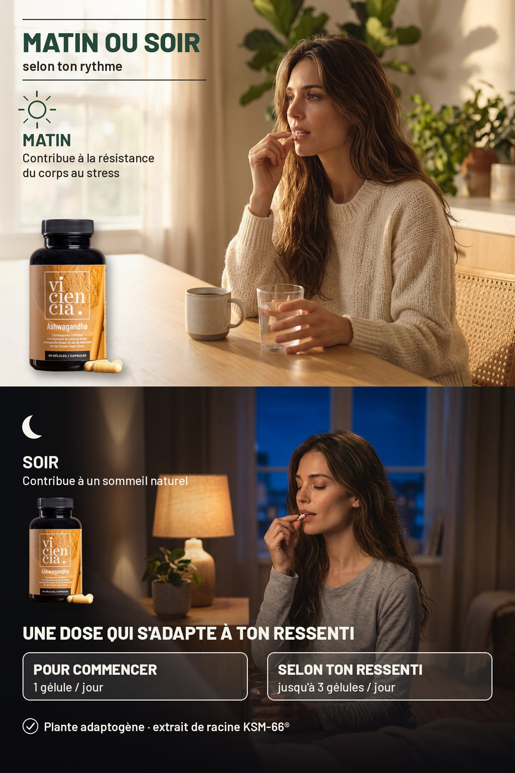 Ashwagandha KSM-66® - L-théanine