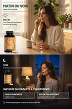 Ashwagandha KSM-66® - L-théanine